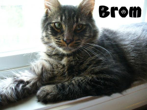 Brom