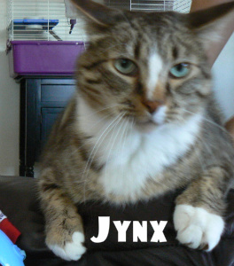 Jynx