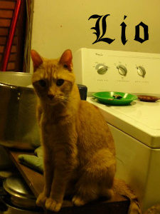 Lio
